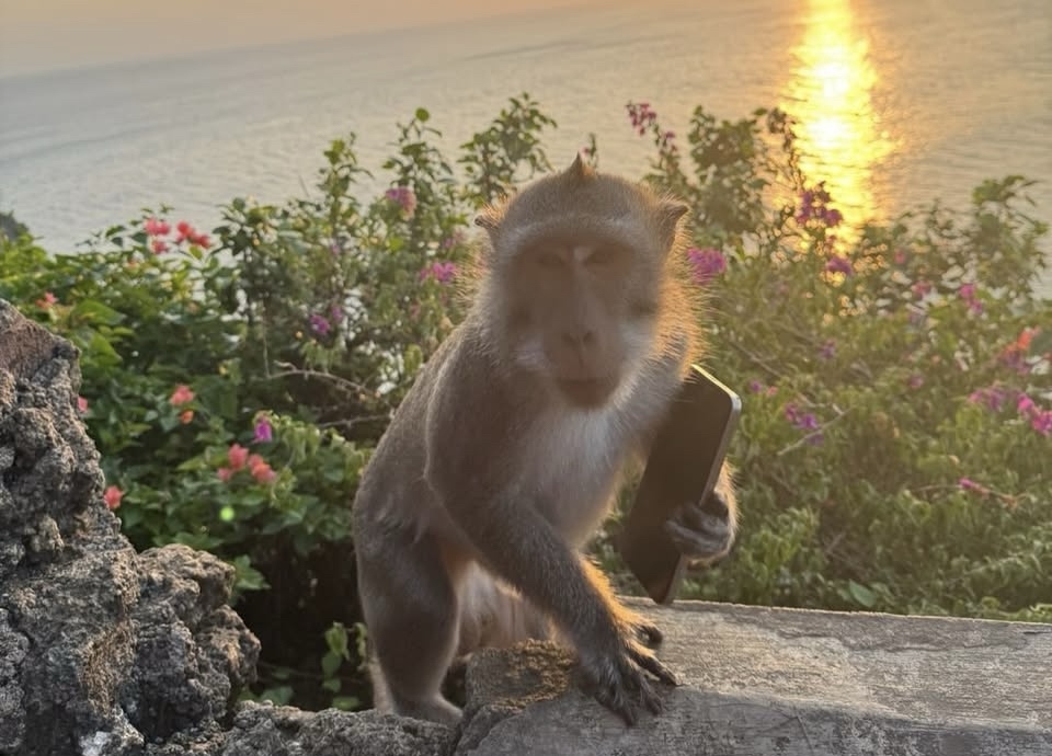 cj******** profile image