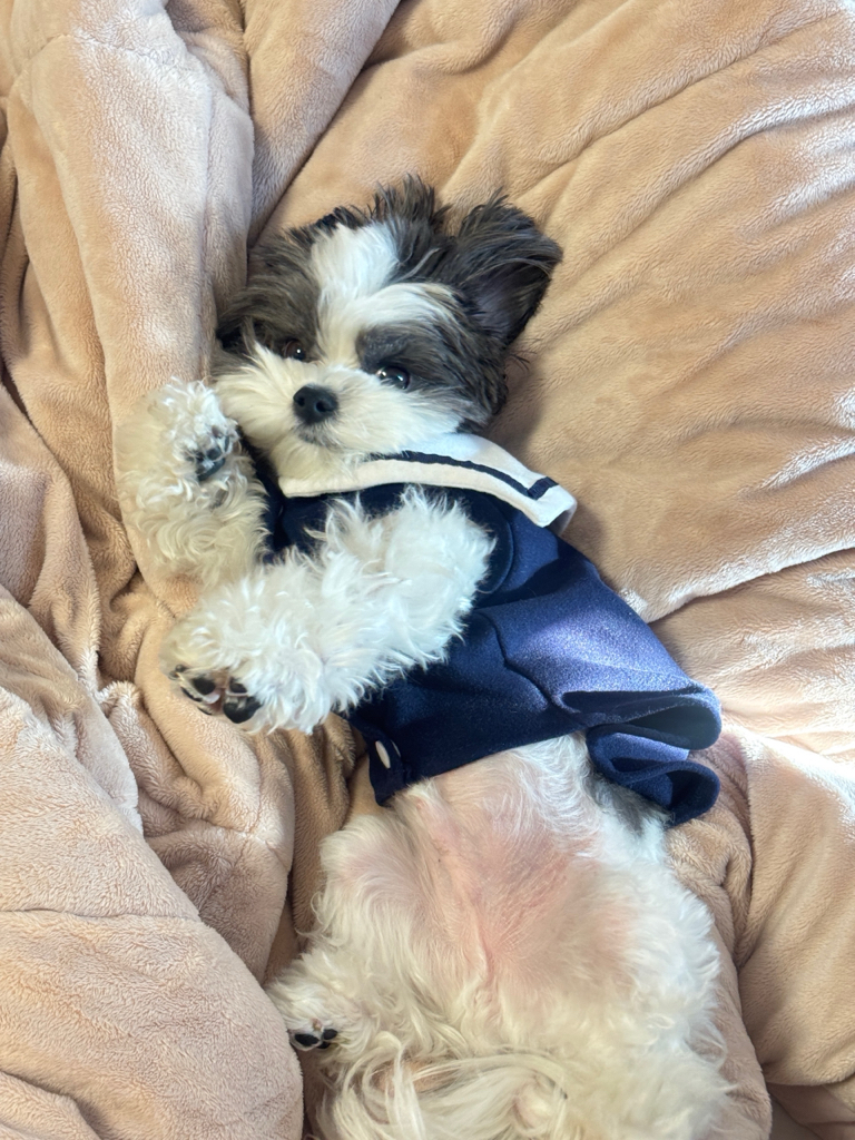 sy******** profile image