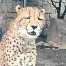 n9******** profile image