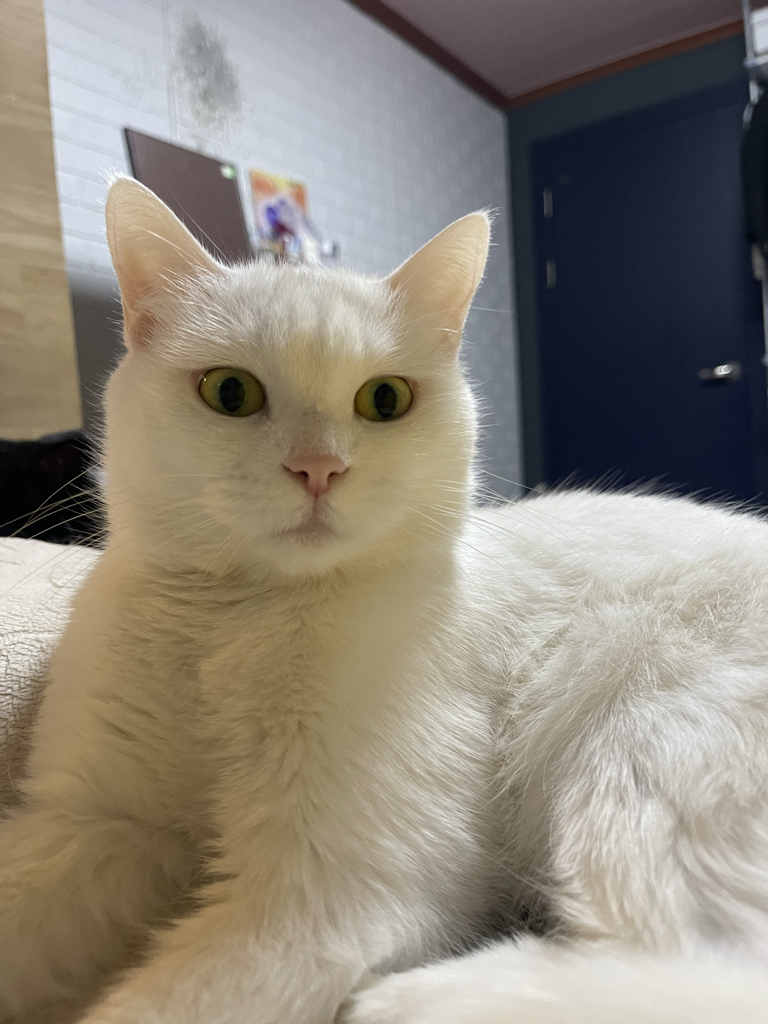 rk****** profile image