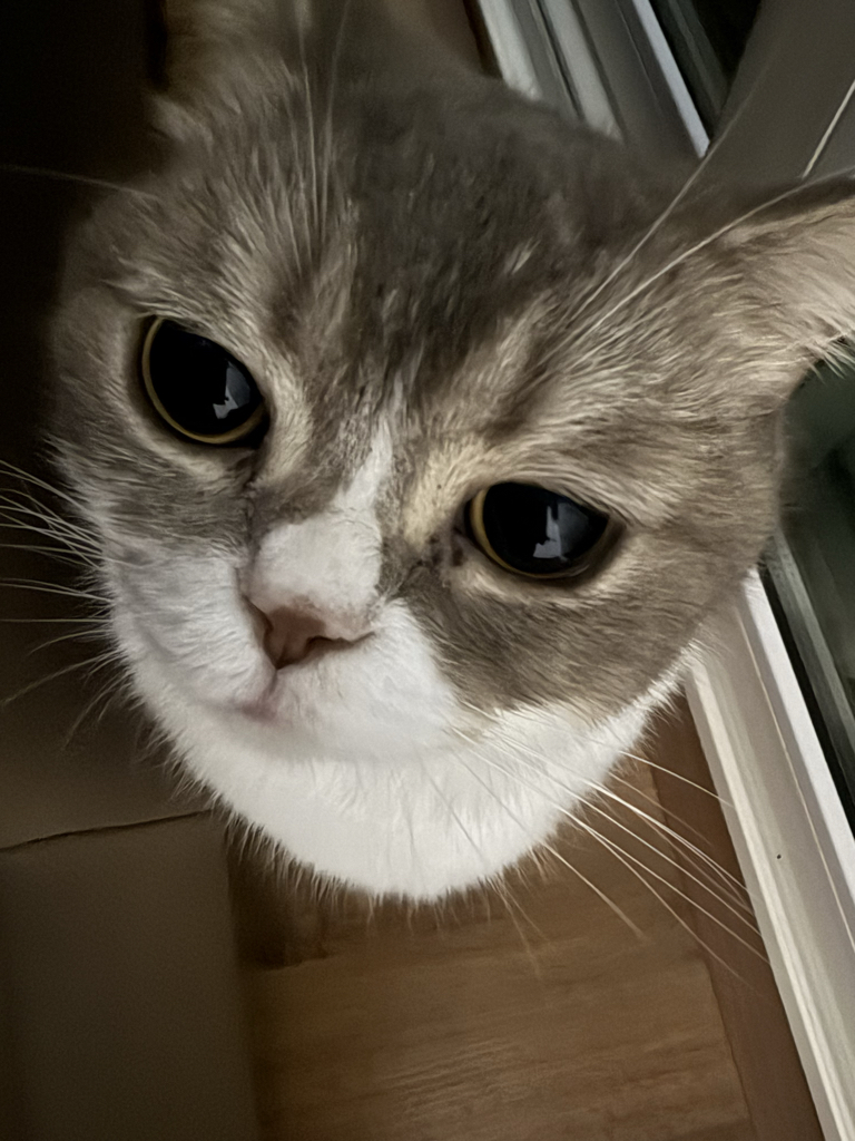 jh******** profile image