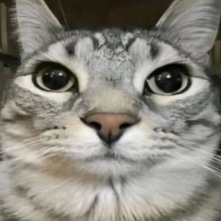 ha******** profile image