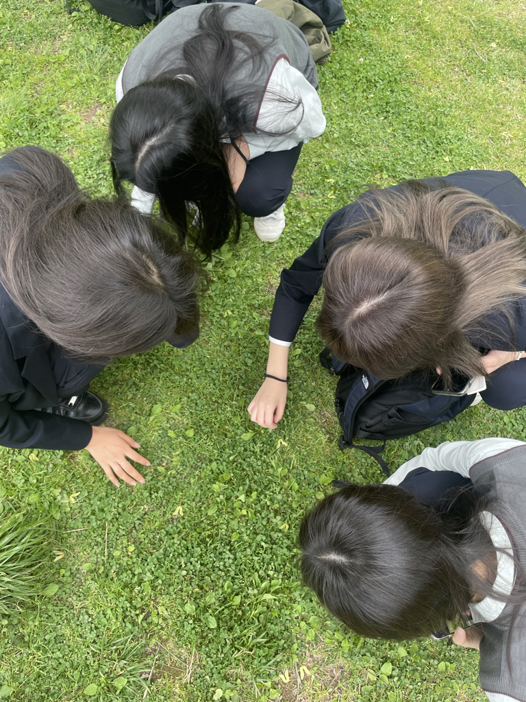 j6******** profile image