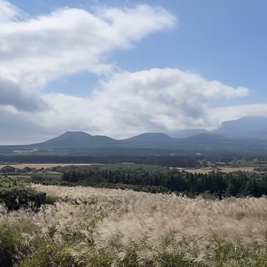 ol******* profile image