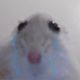 na****** profile image