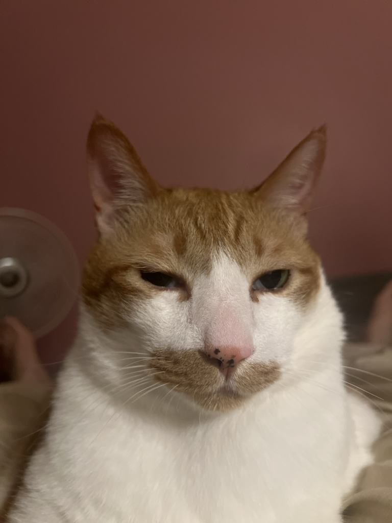 mi****** profile image
