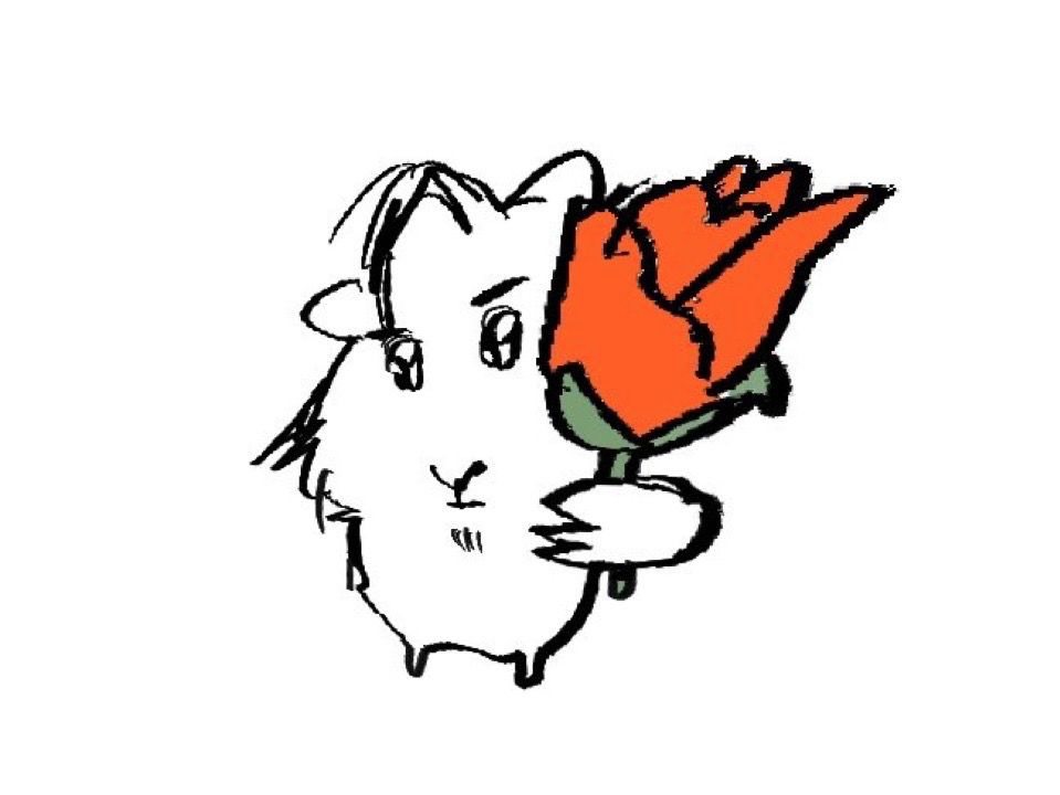 le*********** profile image