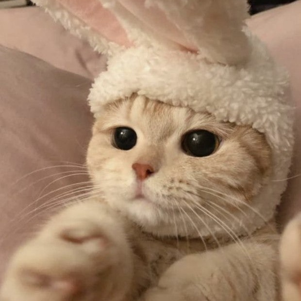 43**** profile image