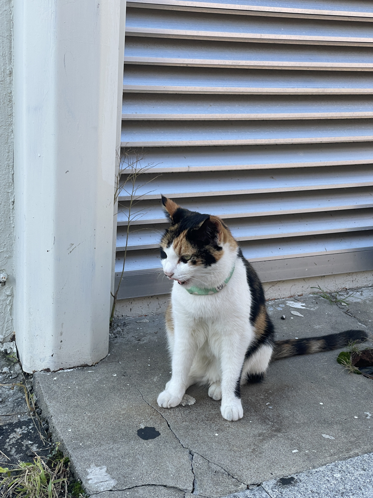 vs**** profile image