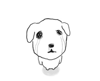 mq******** profile image