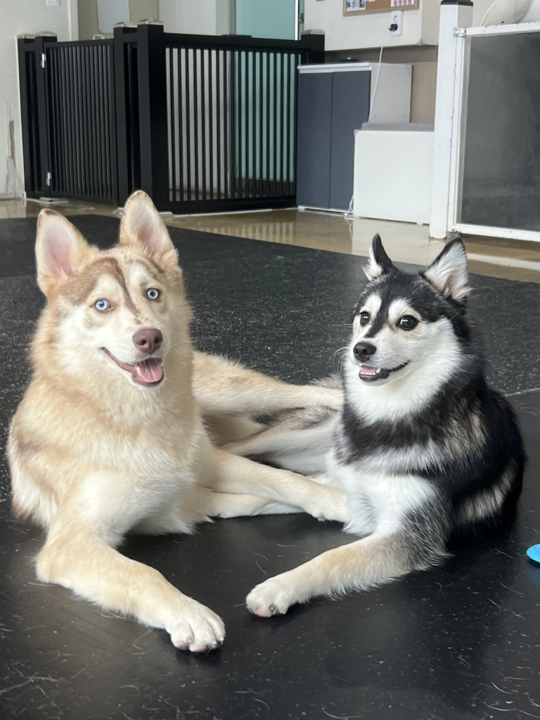 qp******* profile image