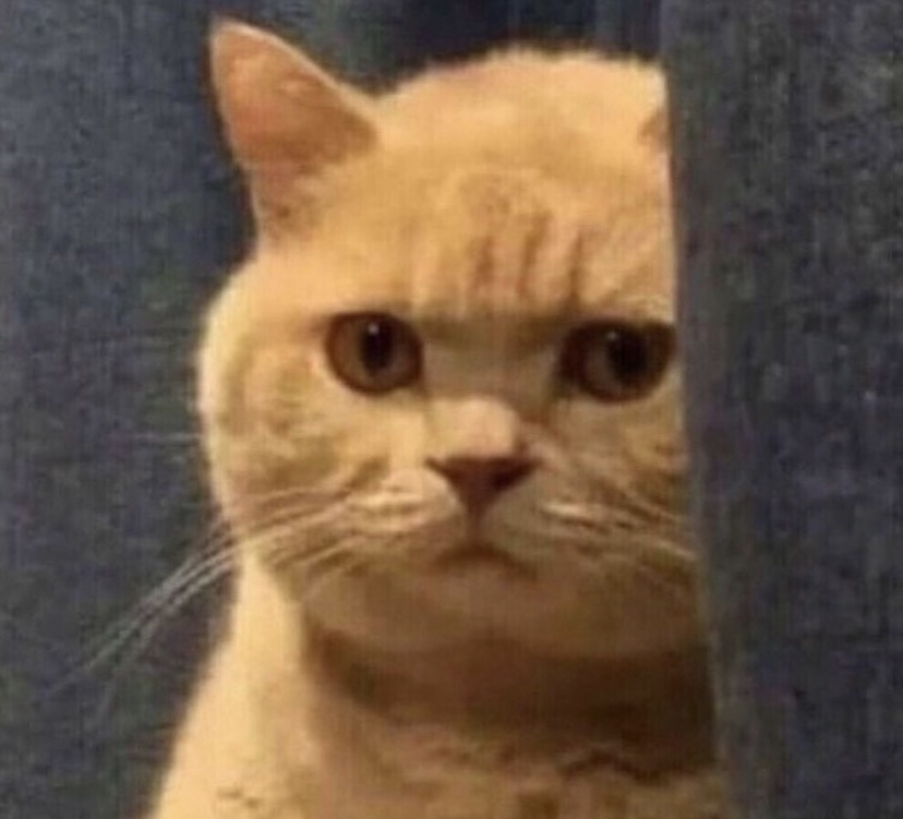 sl****** profile image