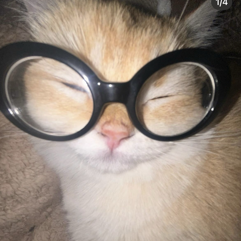 ye******* profile image