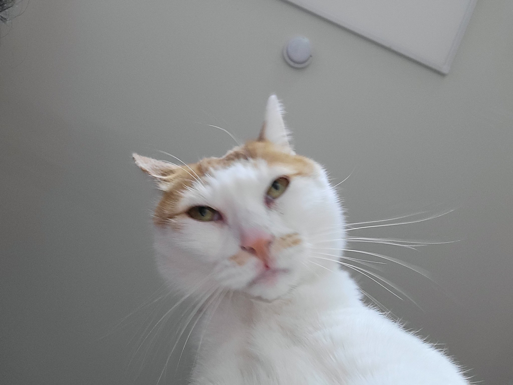 ou************** profile image