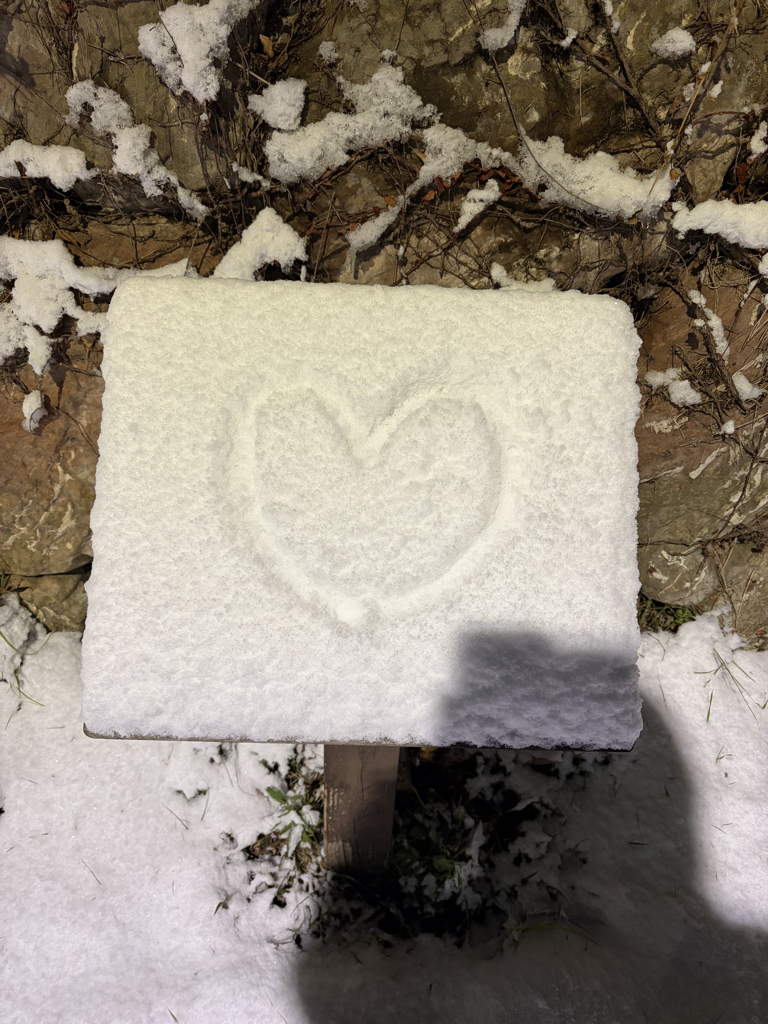 ih******* profile image