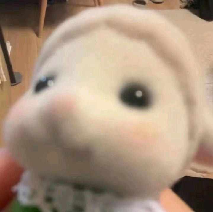 se********* profile image