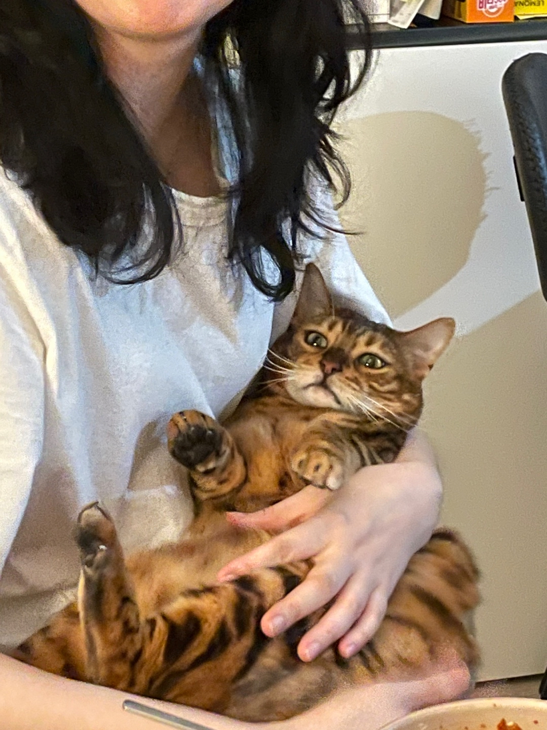 go******* profile image