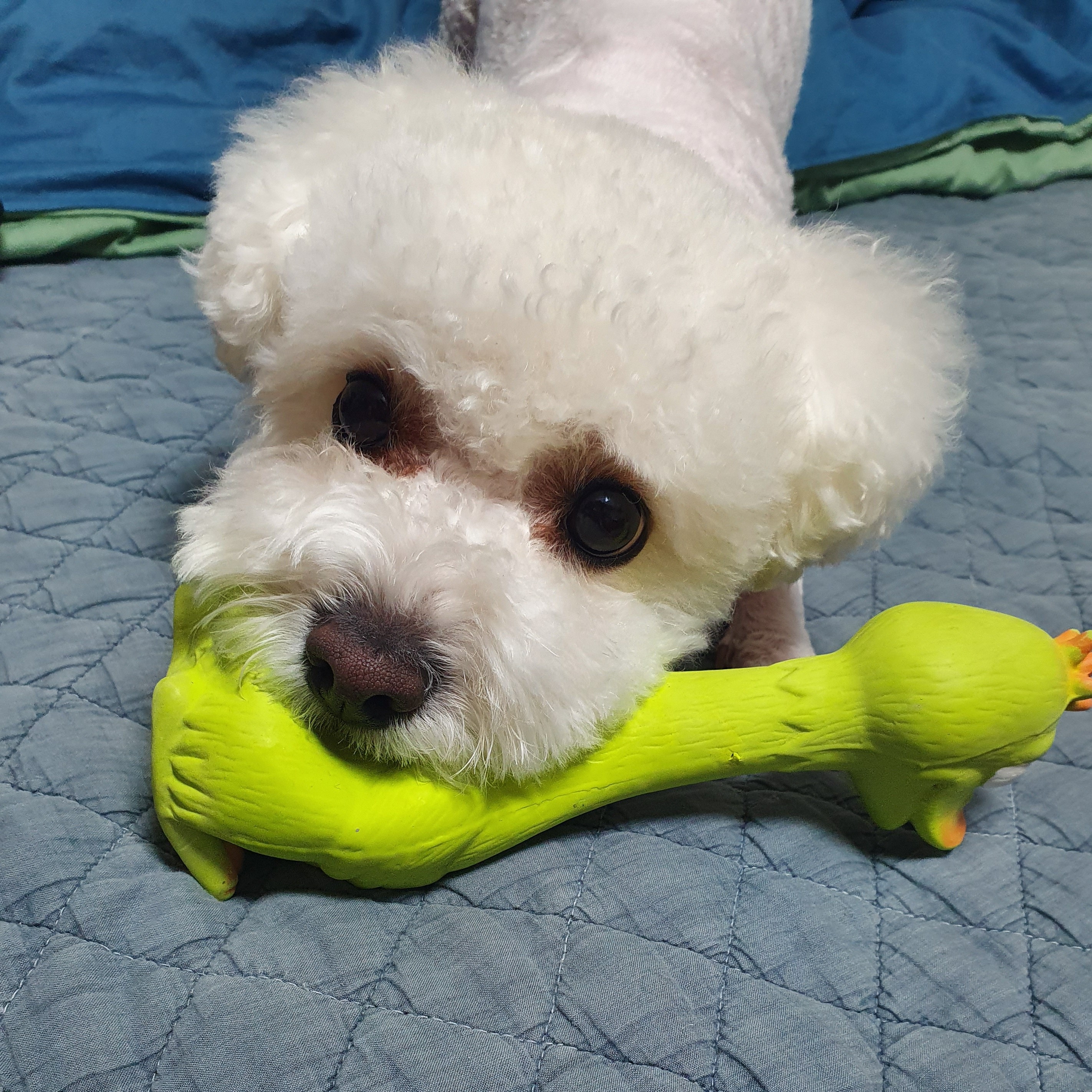 ha**** profile image