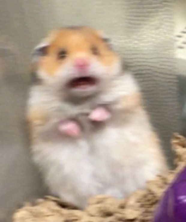 rl********** profile image