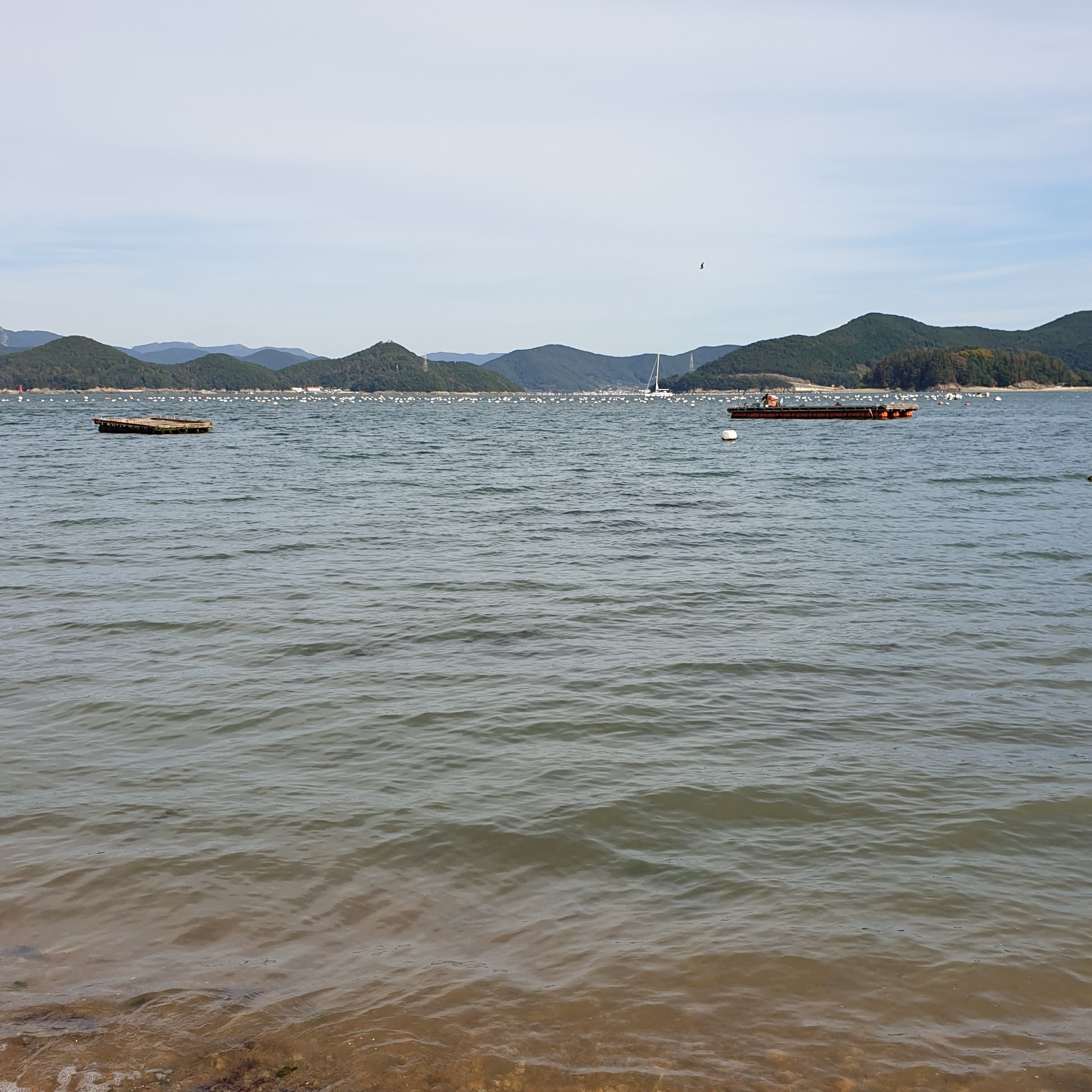 dm******** profile image