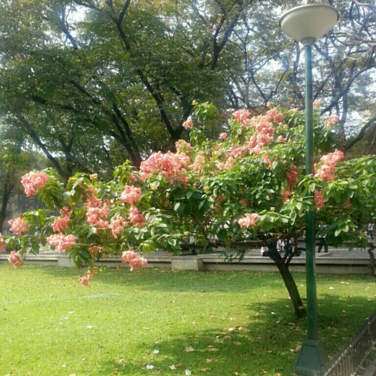 90***** profile image