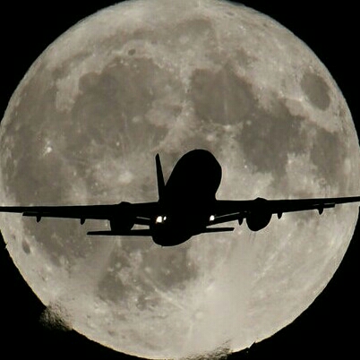 au***** profile image