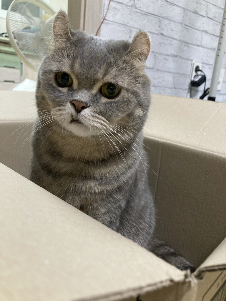 ye****** profile image