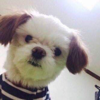 gs****** profile image