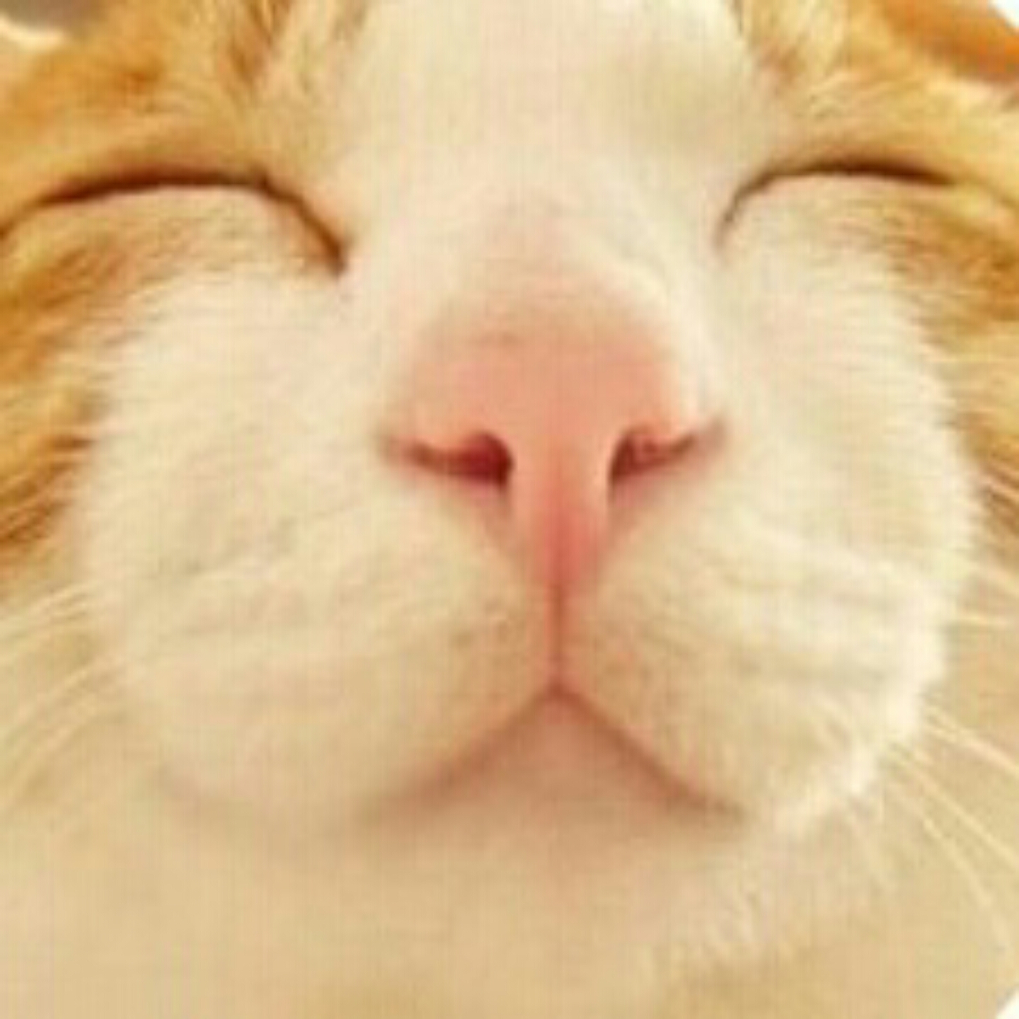 se***** profile image