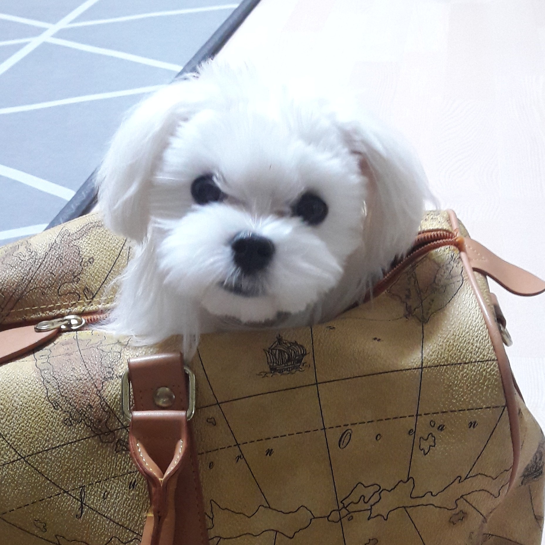 pa******** profile image