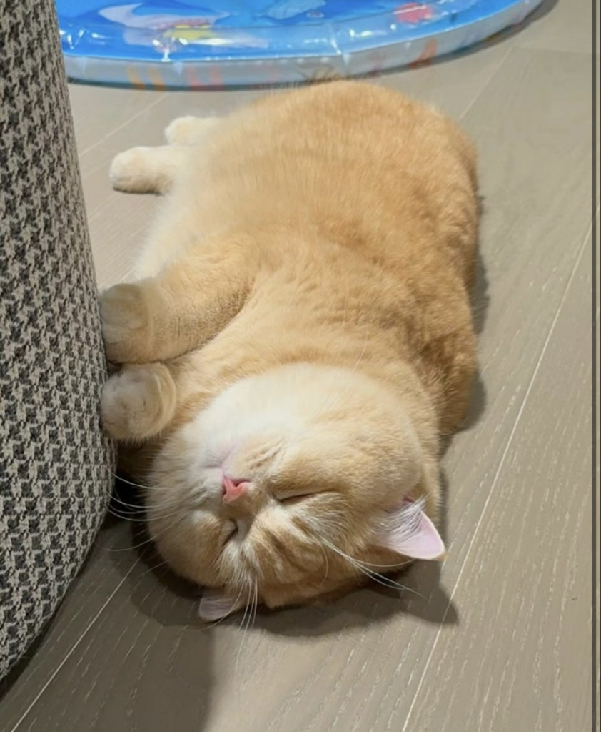 so************ profile image