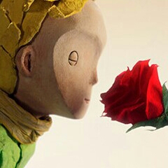 sh******** profile image