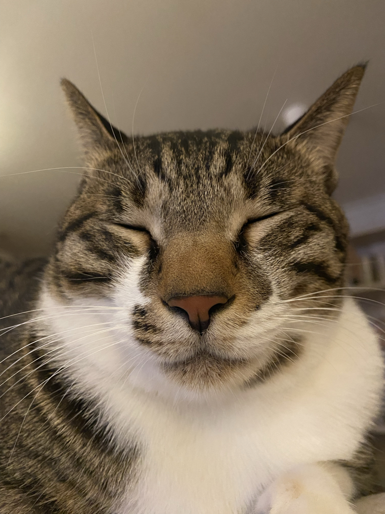 je********* profile image