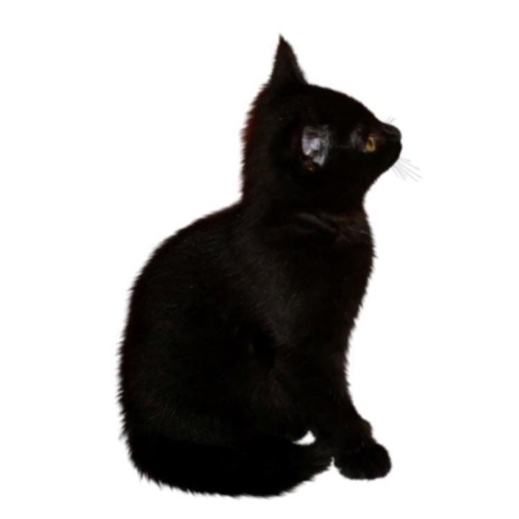 bm******* profile image