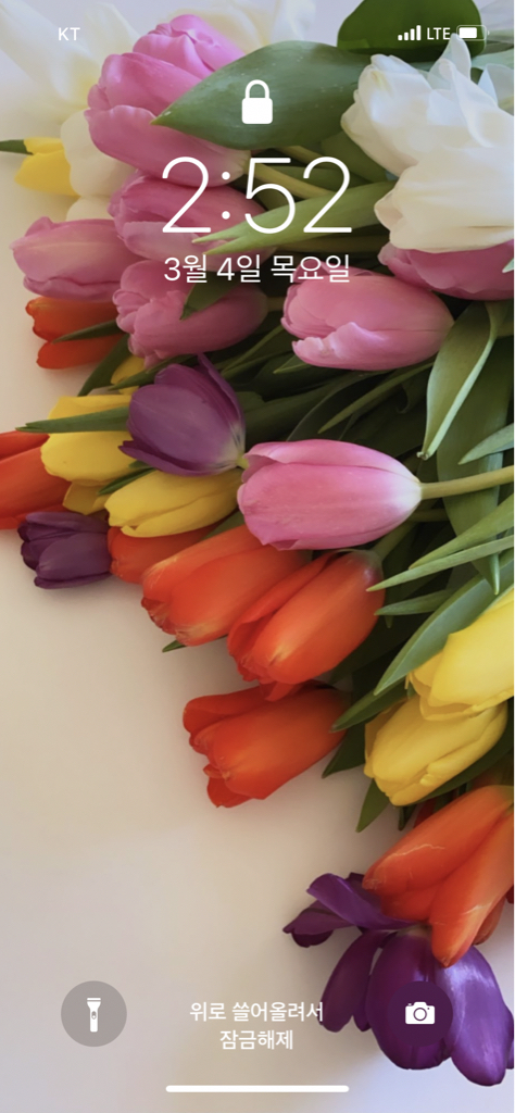 qt****** profile image