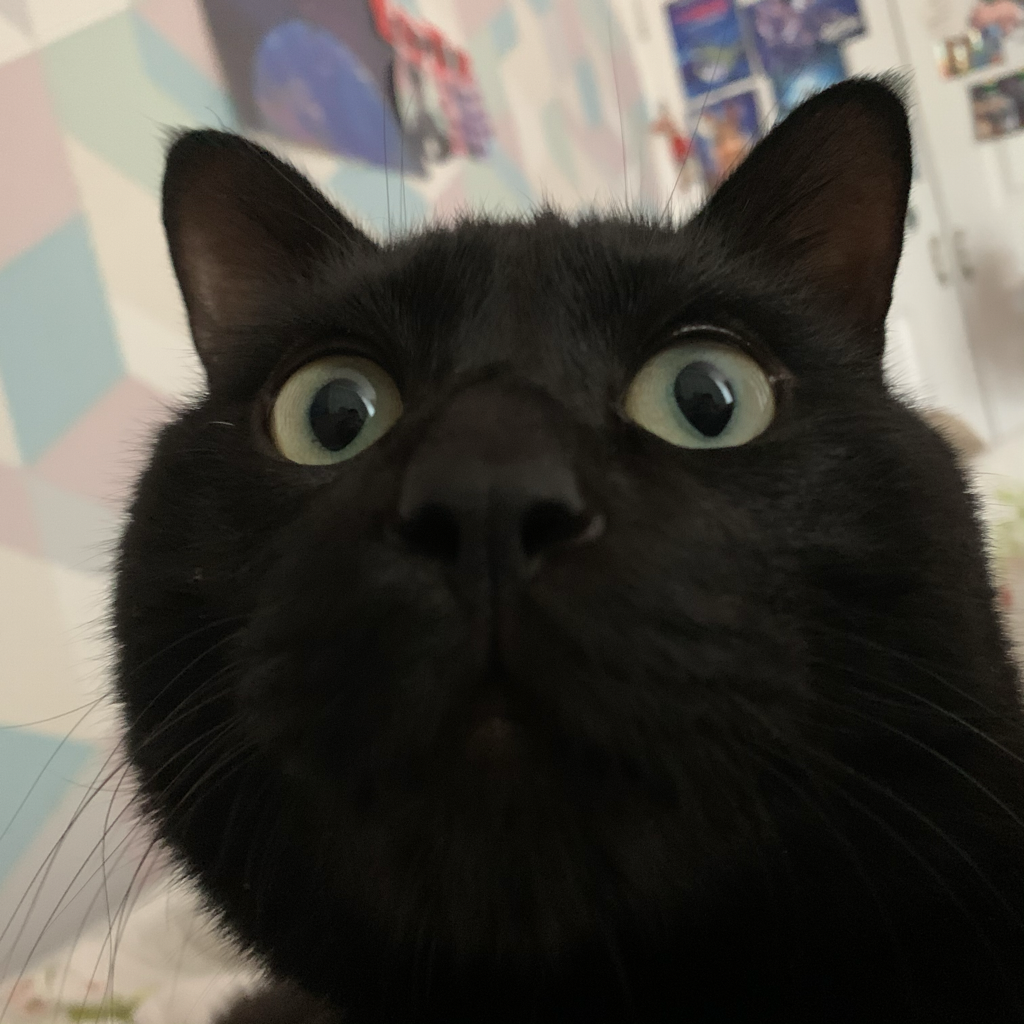 tw***** profile image