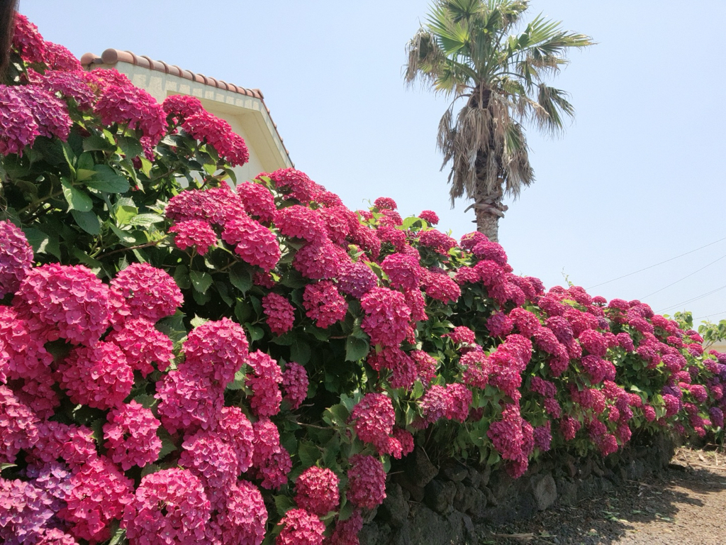 pe******** profile image