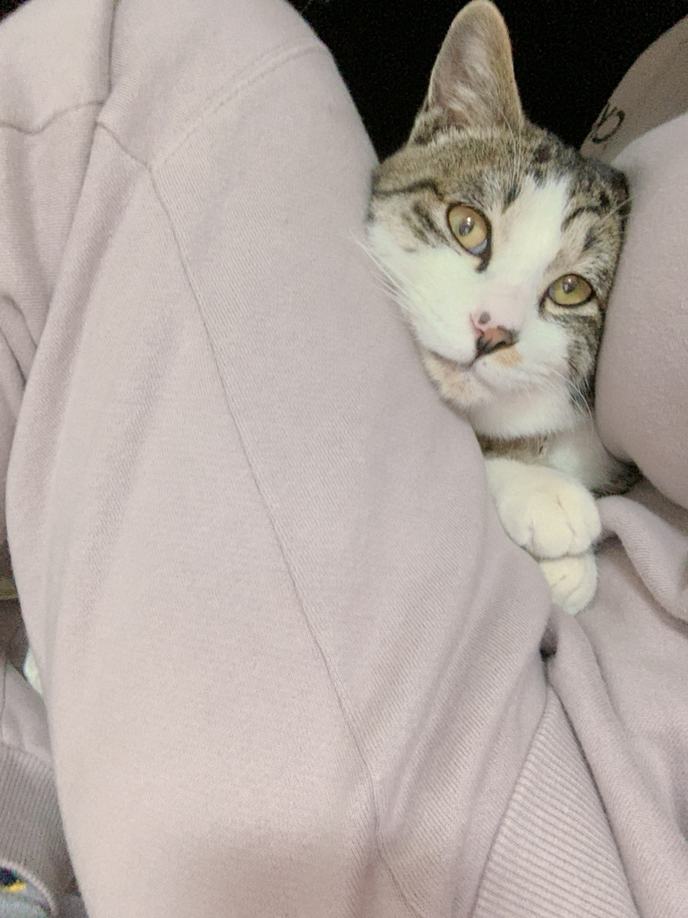 un***** profile image