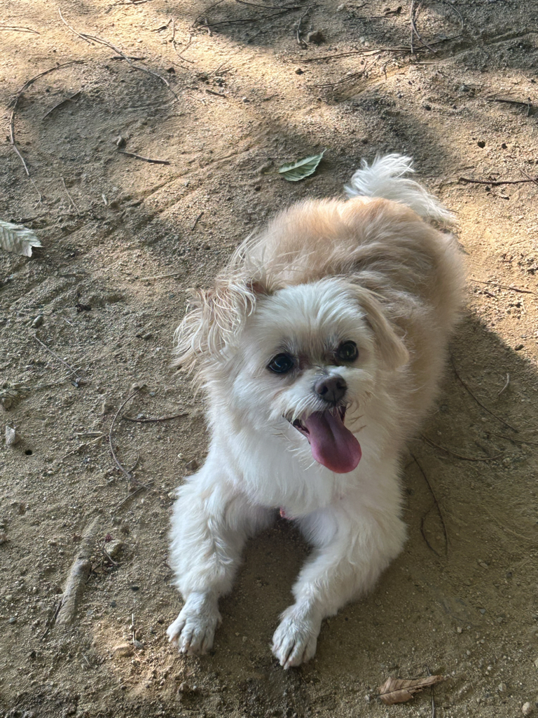 ha******** profile image