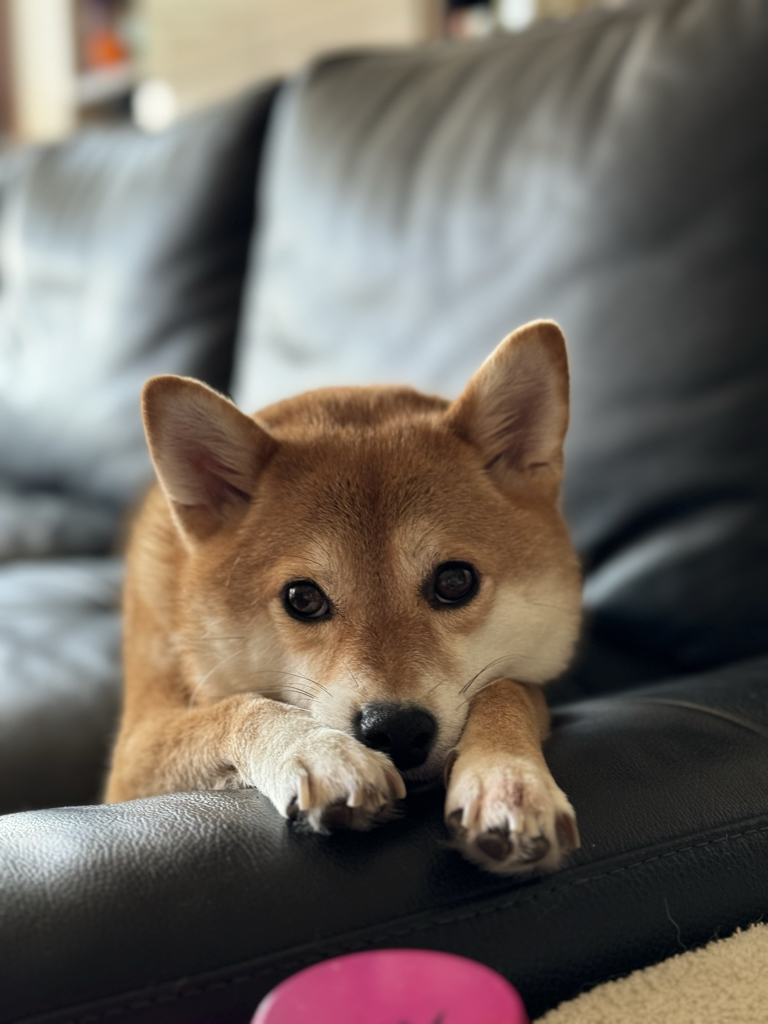 bo********* profile image