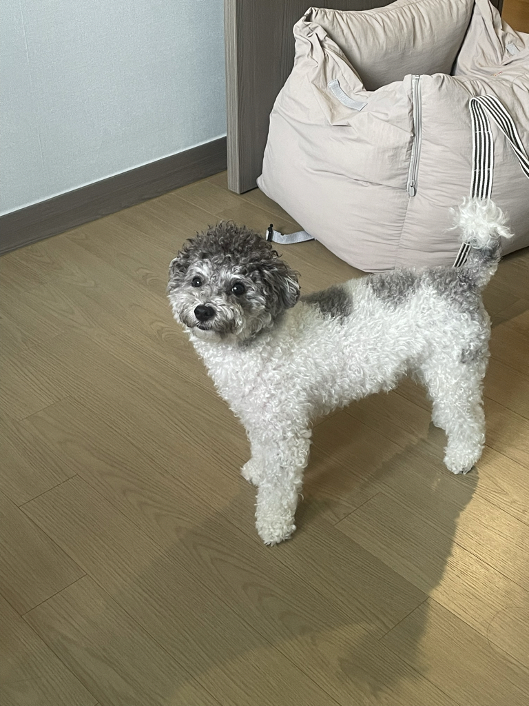 wk********** profile image