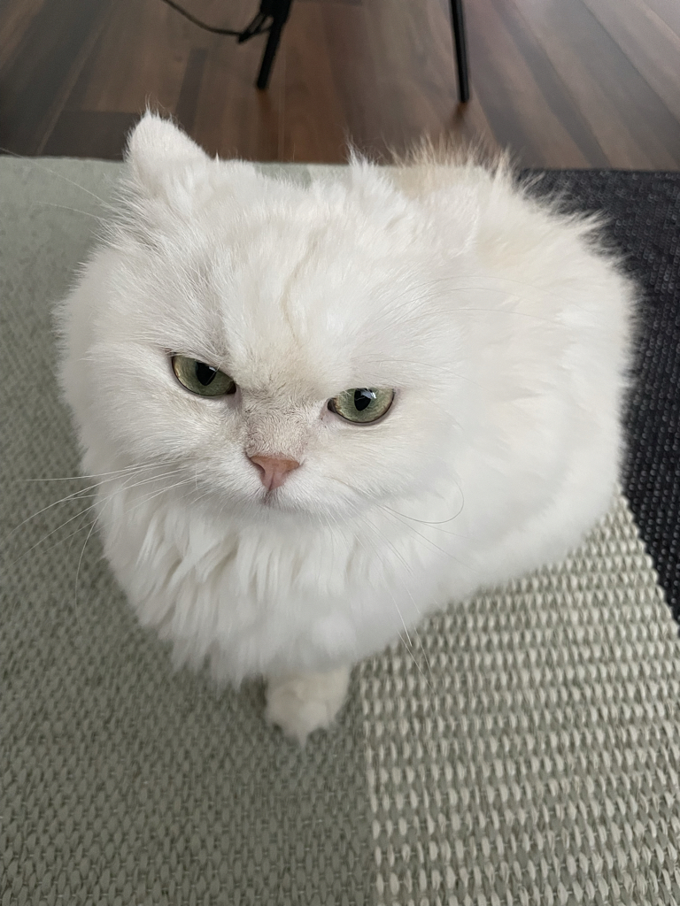 js******* profile image