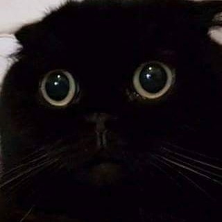 Hwahae User profile image