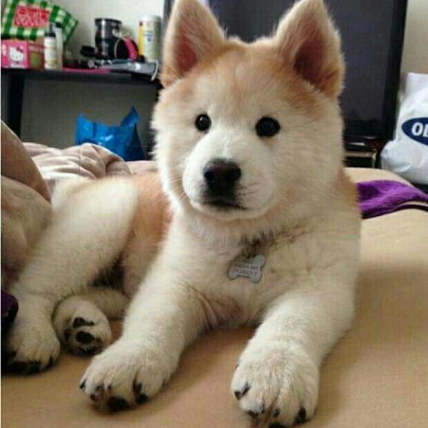 gy******** profile image