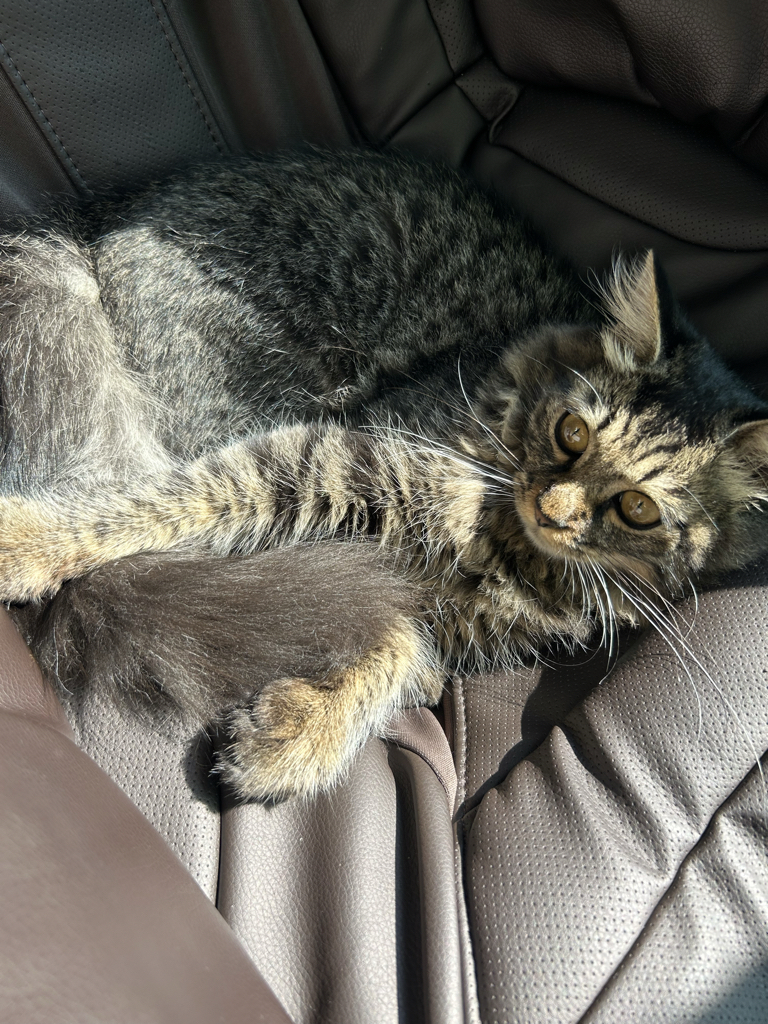 xp****** profile image