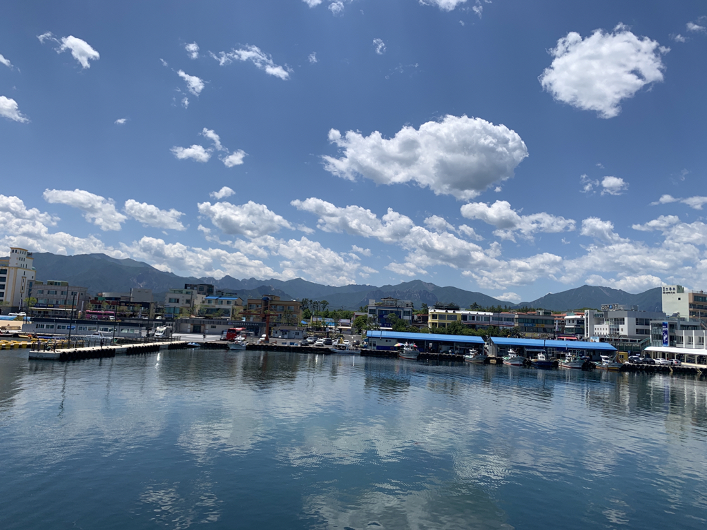 ss******** profile image