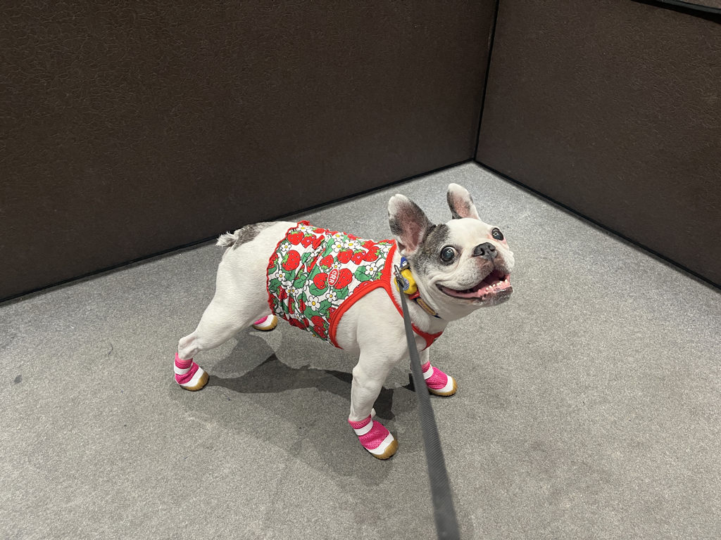 wo******* profile image