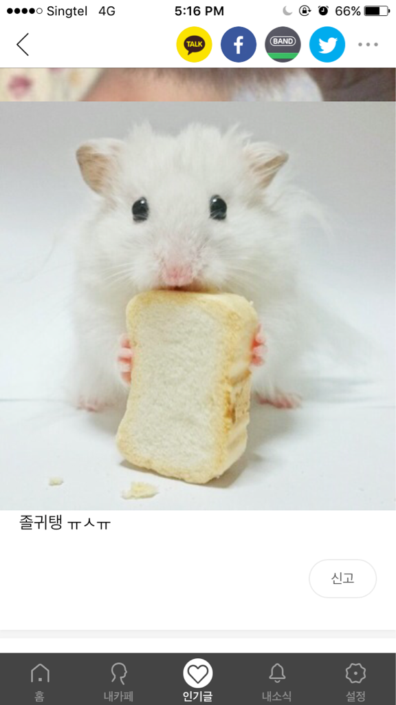Hwahae User profile image