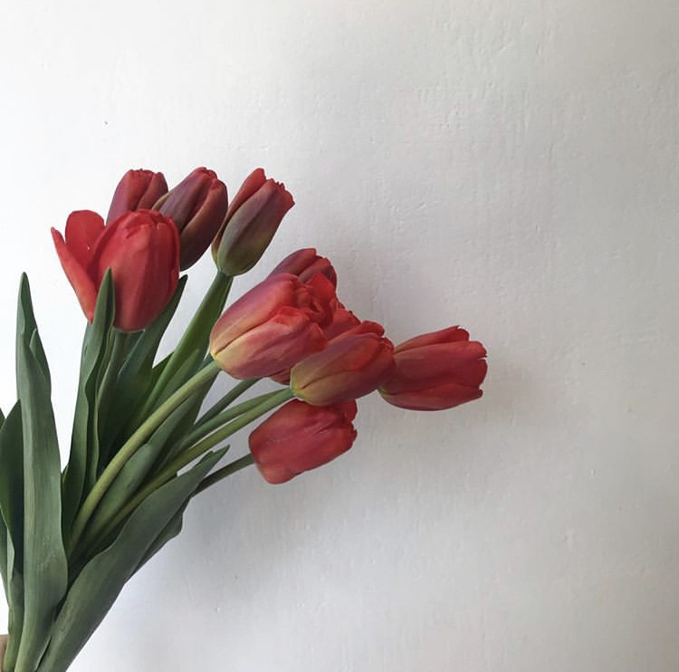 sk********* profile image