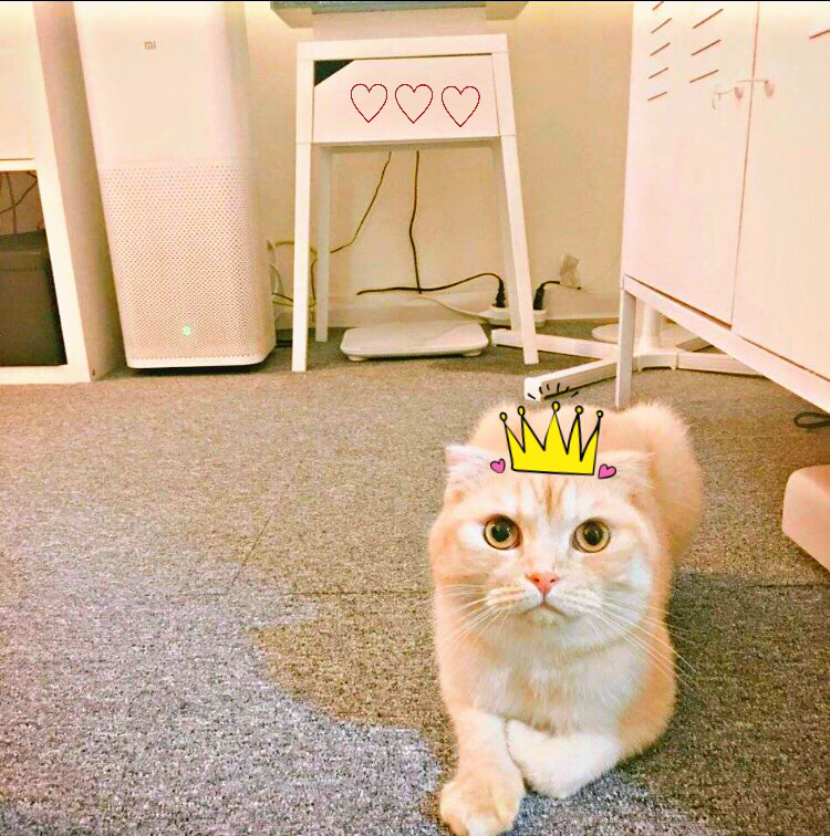 dk******** profile image